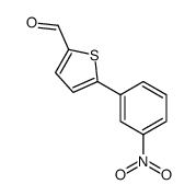 5-(3-nitrophenyl)thiophene-2-carbaldehyde_38401-73-9