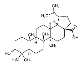 3α-20,29-dihydrobetulunic acid_38736-78-6