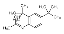 N-(2,4-ditert-butylphenyl)acetamide_38896-23-0