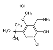 2-aminomethyl-3-methoxy-4-(1,1-dimethylethyl)-6-chlorophenol hydrochloride_38946-41-7