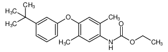 ethyl (4-(3-(tert-butyl)phenoxy)-2,5-dimethylphenyl)carbamate_395657-85-9