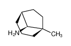 rel-(1R,5S,8S)-1-methylbicyclo[3.2.1]octan-8-amine_399555-31-8