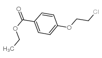 ethyl 4-(2-chloroethoxy)benzoate_40992-21-0