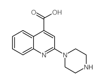 2-Piperazin-1-yl-quinoline-4-carboxylic acid_425622-09-9