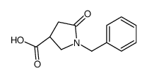 (3S)-1-Benzyl-5-oxo-3-pyrrolidinecarboxylic acid_428518-42-7