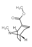 ecgonidine methyl ester mesylate_43021-26-7