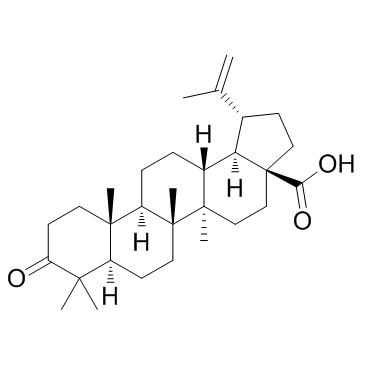 Betulonic acid_4481-62-3