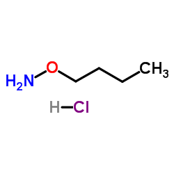 1-(Aminooxy)butane hydrochloride (1:1)_4490-82-8