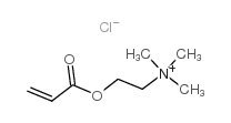 Acryloyloxyethyltrimethyl ammonium chloride_44992-01-0