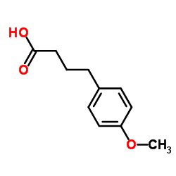 4-(4-Methoxyphenyl)butanoic acid_4521-28-2
