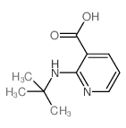 2-(tert-Butylamino)nicotinic acid_460044-25-1