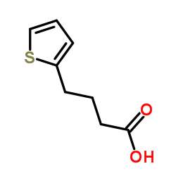 4-(2-Thienyl)butanoic acid_4653-11-6