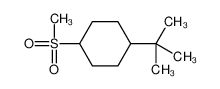 1-tert-butyl-4-methylsulfonylcyclohexane_4943-24-2