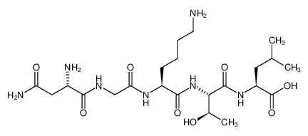 L-Leucine, L-asparaginylglycyl-L-lysyl-L-threonyl-_498528-30-6
