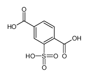 2-sulfoterephthalic acid_4991-22-4
