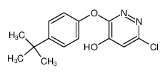 3-(4-tert-butylphenoxy)-6-chloro-4-pyridazinol_499225-46-6