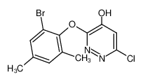 3-(2-bromo-4,6-dimethylphenoxy)-6-chloro-4-pyridazinol_499228-60-3