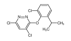 4,6-dichloro-3-(2-chloro-6-isopropylphenoxy)pyridazine_499235-18-6
