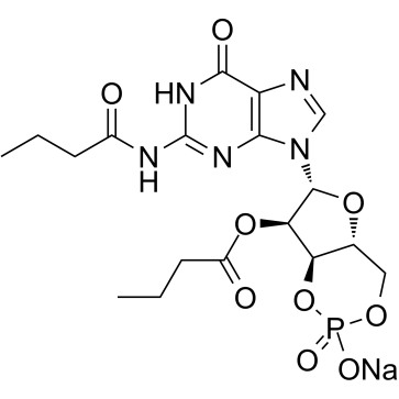 Dibutyryl-cGMP sodium_51116-00-8