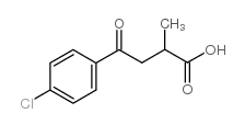 3-(p-chlorobenzoyl)-2-methylpropionic acid_52240-20-7