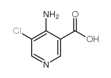 4-Amino-5-chloronicotinic acid_52834-09-0