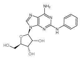 2-phenylaminoadenosine_53296-10-9