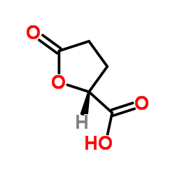 (2R)-5-Oxotetrahydro-2-furancarboxylic acid_53558-93-3