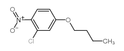 4-Butoxy-2-chloro-1-nitrobenzene_5391-56-0