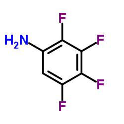 2,3,4,5-Tetrafluoroaniline_5580-80-3