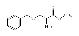 methyl 2-amino-3-phenylmethoxypropanoate_55895-87-9