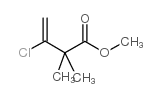 methyl 3-chloro-2,2-dimethylbut-3-enoate_56663-74-2