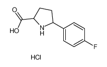 5-(4-fluorophenyl)pyrrolidine-2-carboxylic acid,hydrochloride_5799-98-4