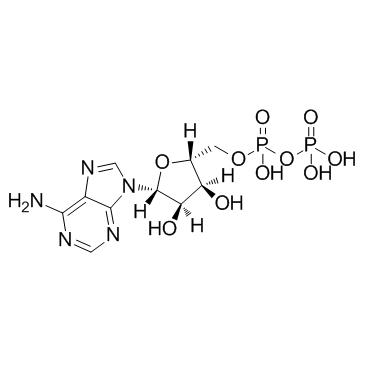 Adenosine diphosphate_58-64-0