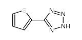 5-thiophen-2-yl-2H-tetrazole_59541-58-1