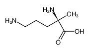 D-Ornithine, 2-methyl- (9CI)_59574-27-5