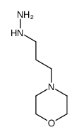 3-morpholin-4-ylpropylhydrazine_59749-74-5