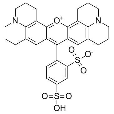 Sulforhodamine 101_60311-02-6