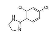2-(2,4-dichlorophenyl)-4,5-dihydro-1H-imidazole_61033-72-5
