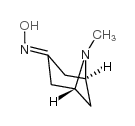 Pseudopelletierine Oxime_6164-67-6