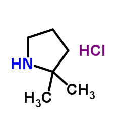 2,2-Dimethylpyrrolidine hydrochloride (1:1)_623580-01-8