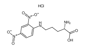 2-amino-5-(2,4-dinitroanilino)pentanoic acid,hydrochloride_64821-45-0