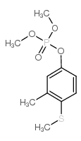 fenthion-oxon_6552-12-1