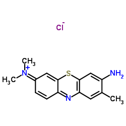 toluidine blue for microscopy_6586-04-5