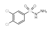 3,4-dichlorobenzenesulfonohydrazide_6655-74-9