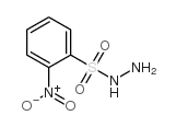2-nitrobenzenesulfonyl hydrazine_6655-77-2