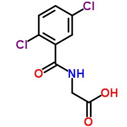 N-(2,5-Dichlorobenzoyl)glycine_667403-46-5