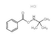 (tert-butylamino) benzoate,hydrochloride_66809-86-7