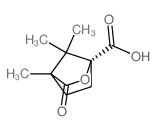 1r)-(+)-camphanic acid_67111-66-4