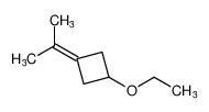 Cyclobutane, 1-ethoxy-3-(1-methylethylidene)-_67614-20-4