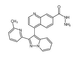4-[2-(6-methyl-pyridin-2-yl)-pyrazolo[1,5-a]pyridin-3-yl]-quinoline-7-carboxylic acid hydrazide_676344-62-0